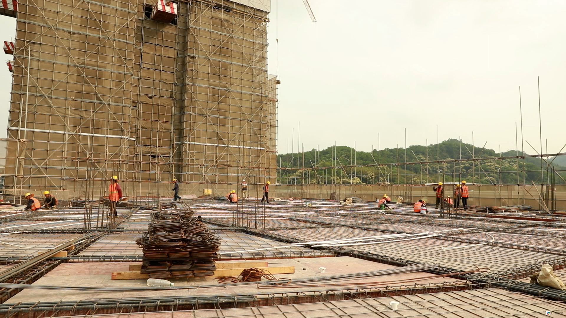 C4296.00_09_00_21.Still031.jpg C4296.00_09_00_21.Still031.jpg