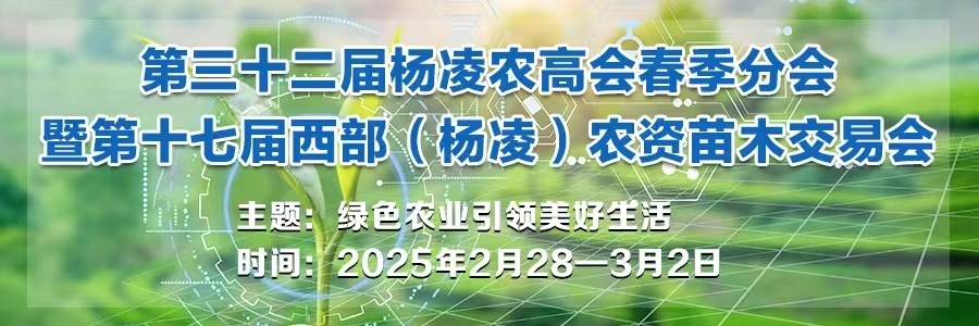 %E5%BE%AE%E4%BF%A1%E5%9B%BE%E7%89%87_20250306105745.jpg