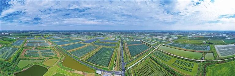 114337d2y20leoo2moh80l.jpeg 114337d2y20leoo2moh80l.jpeg